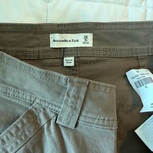 Abercrombie & Fitch Curve Love Chinos